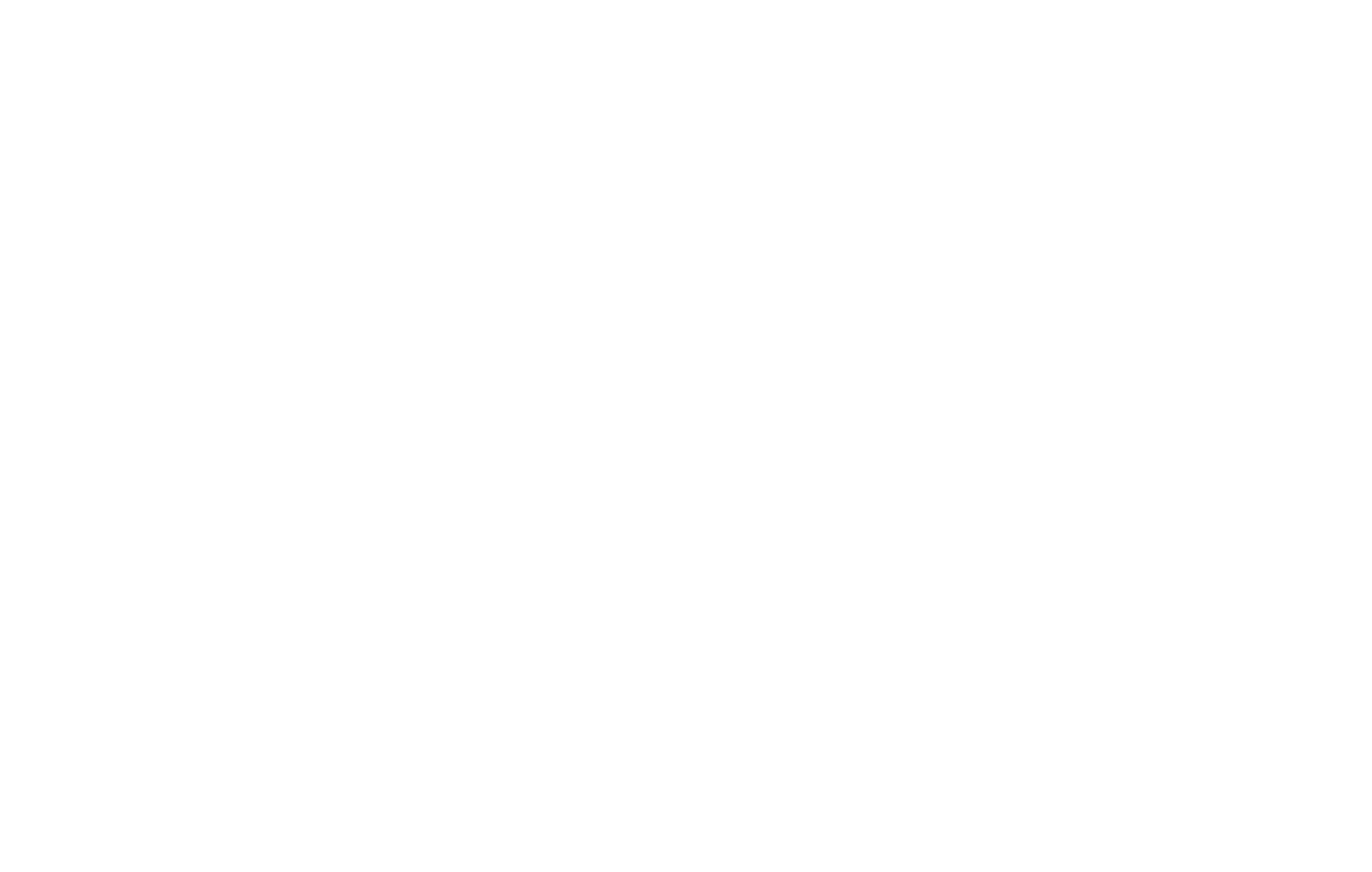 Premier Developing Services, Inc.